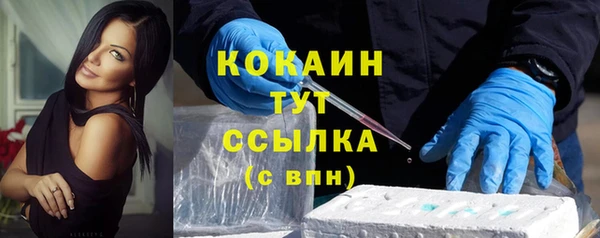 дживик Абаза