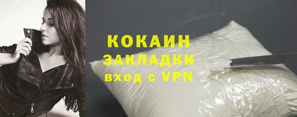 кокс Алексин