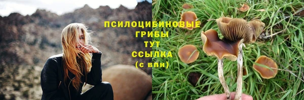 дживик Абаза