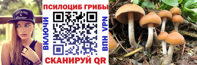 сколько стоит Вичуга Галлюциногенные грибы Magic Shrooms