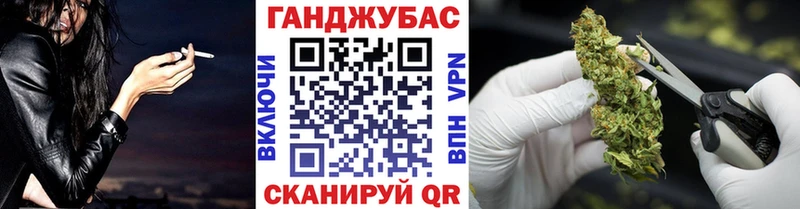 Каннабис планчик Вичуга